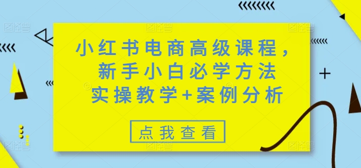 小红书电商高级课程，新手小白必学方法，实操教学+案例分析-自由仓库